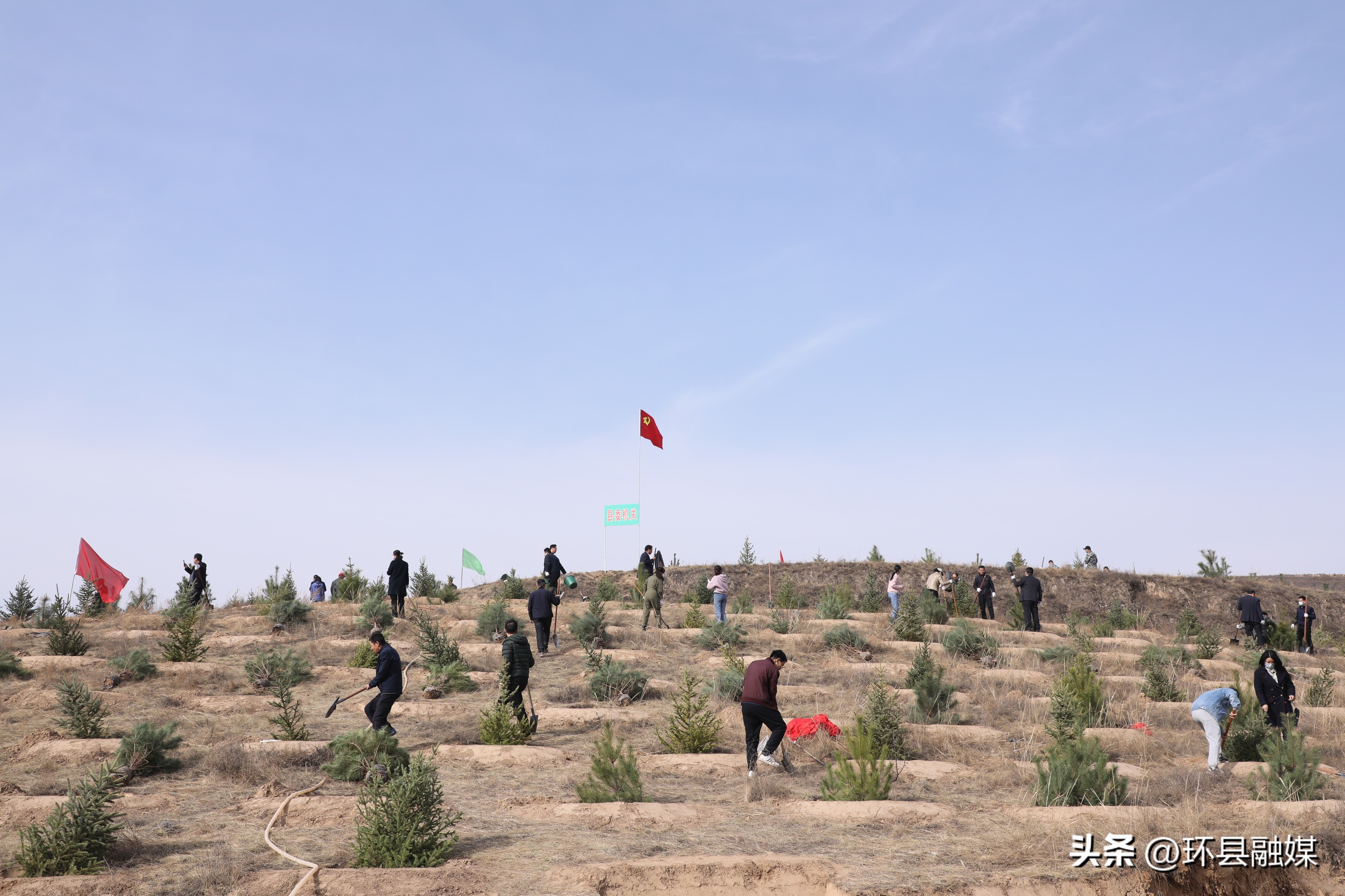 新县组织开展全民义务植树活动,积极开展植树增绿活动