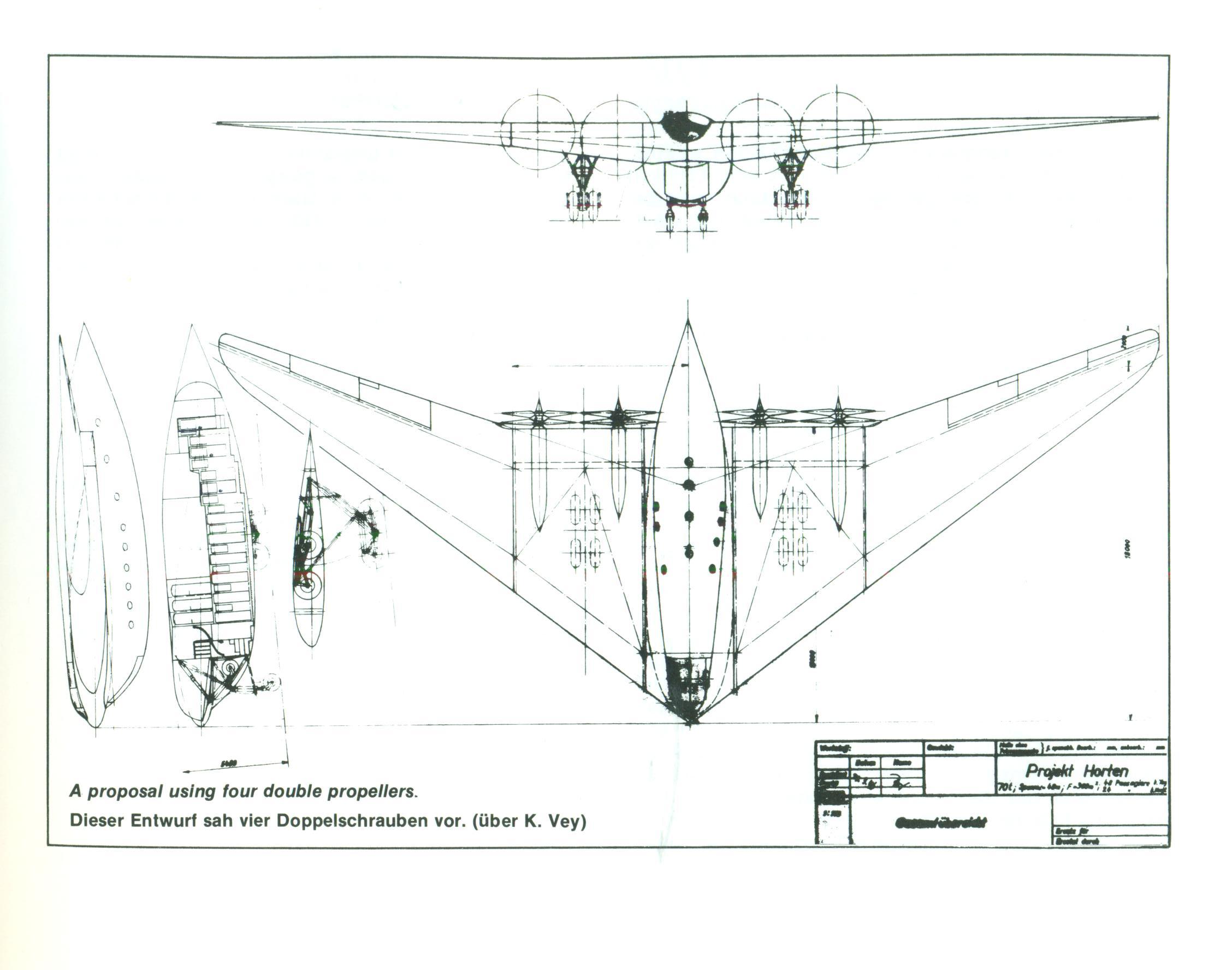 有趣的飞行器18-运水果的科幻大飞翼