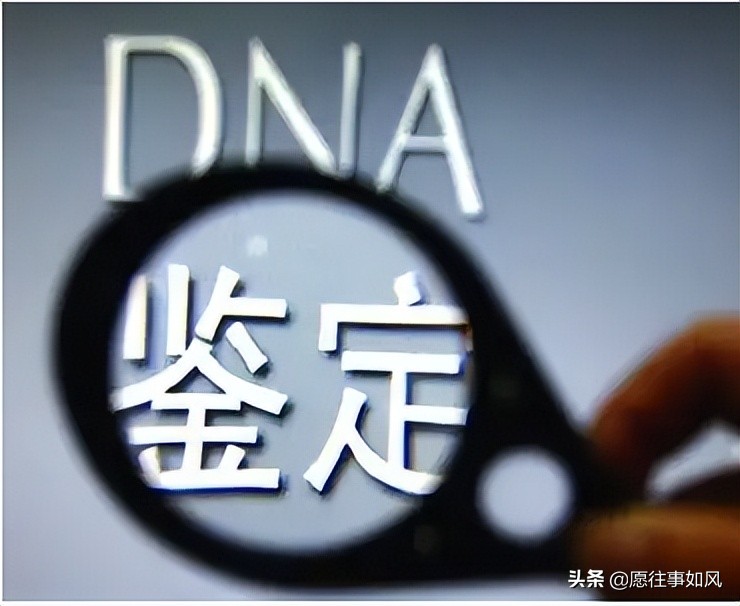 司法鉴定复杂案例,司法亲子鉴定闹剧