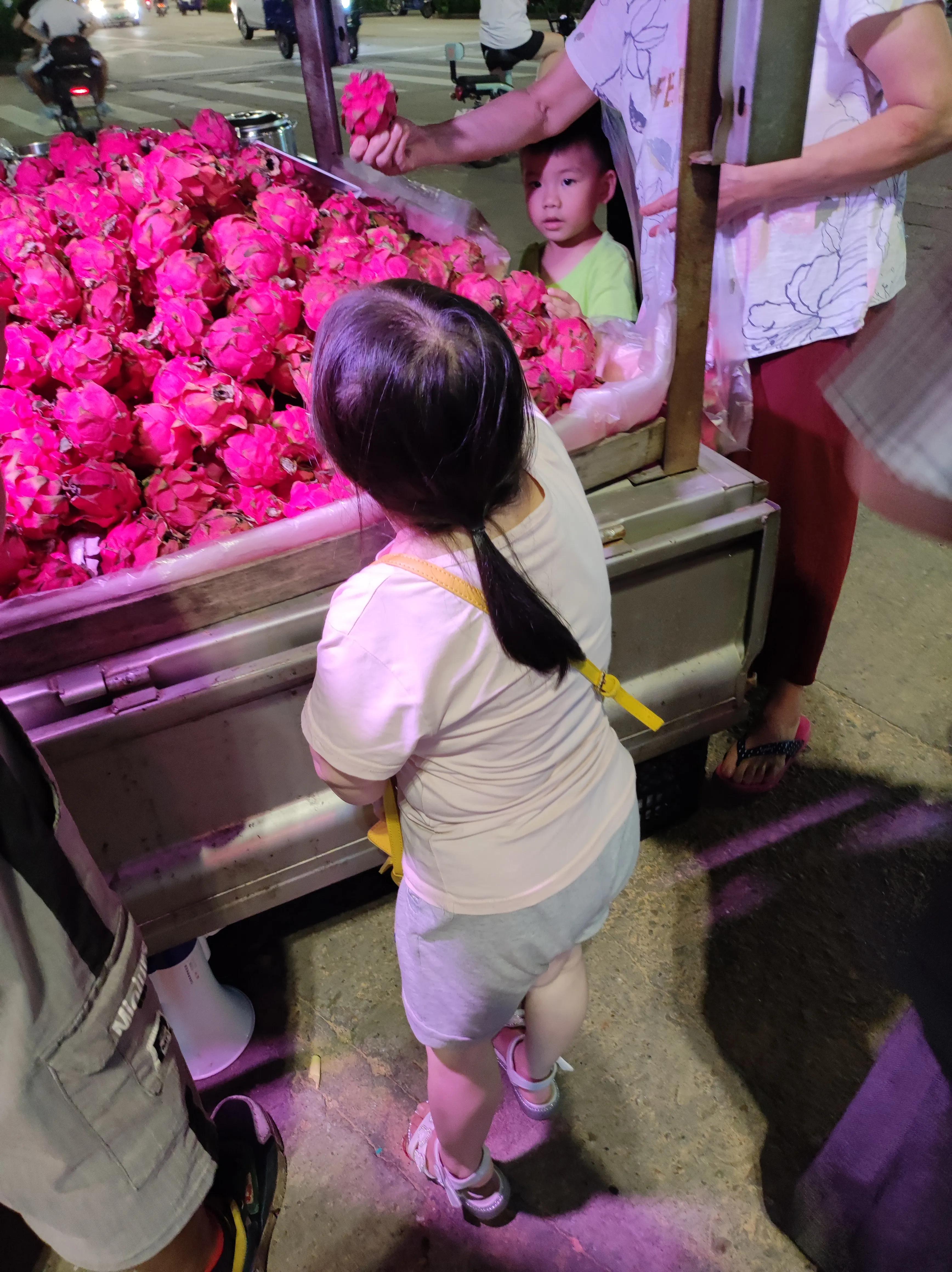 袖珍人的故事有哪些,袖珍人的故事大全