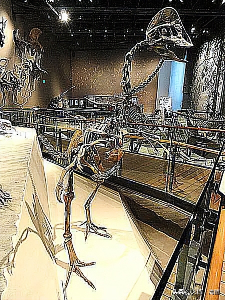 有翅膀的恐龙大全有图片有名字,带羽毛的恐龙名字及图片