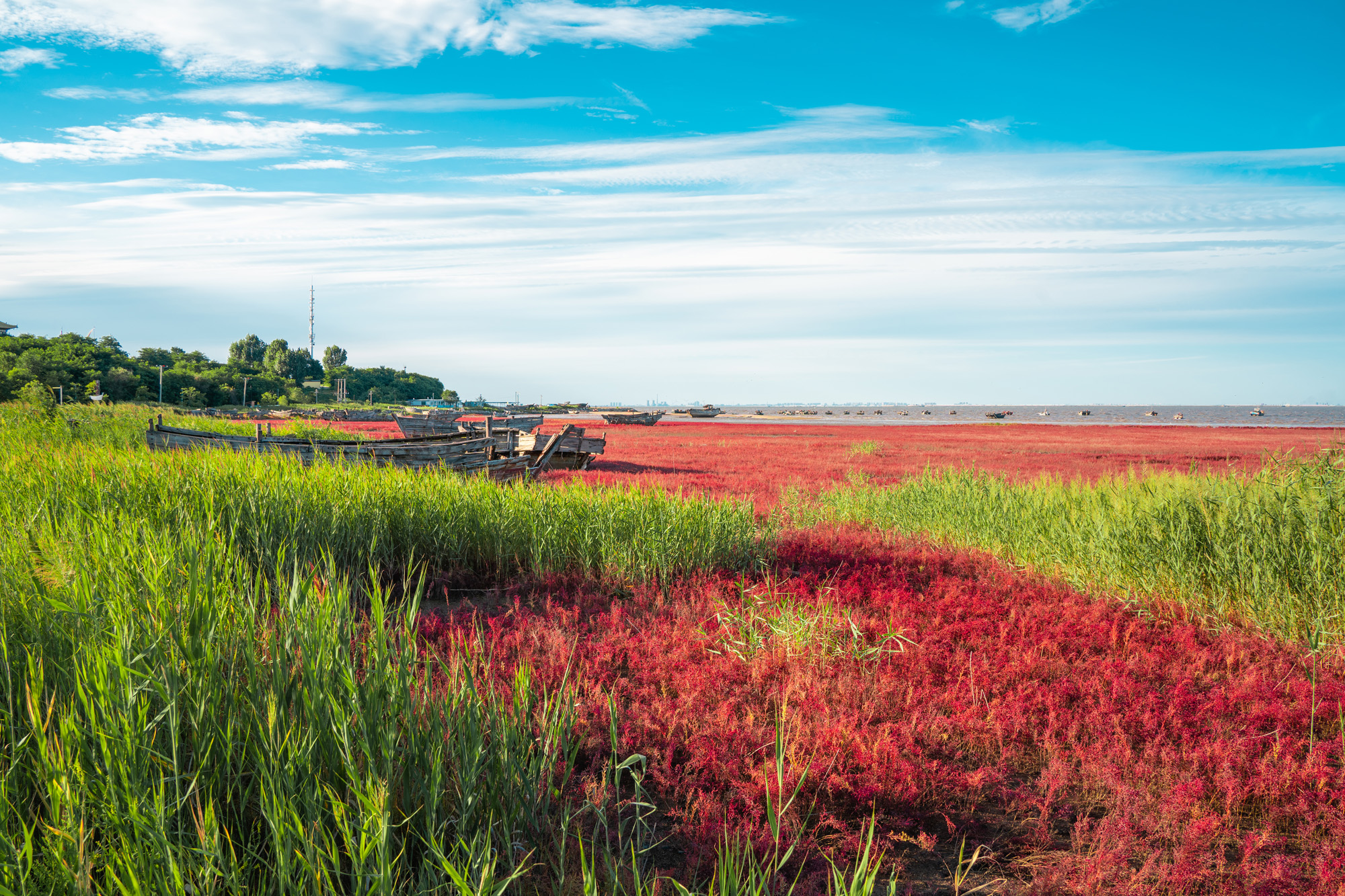 营口文化与美食,营口自然风景