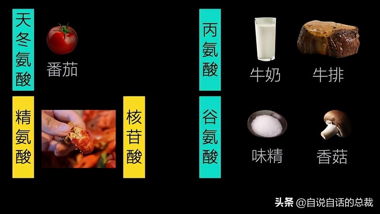 龙虾青龙和花龙区别,龙虾也是生物为什么我们要吃它