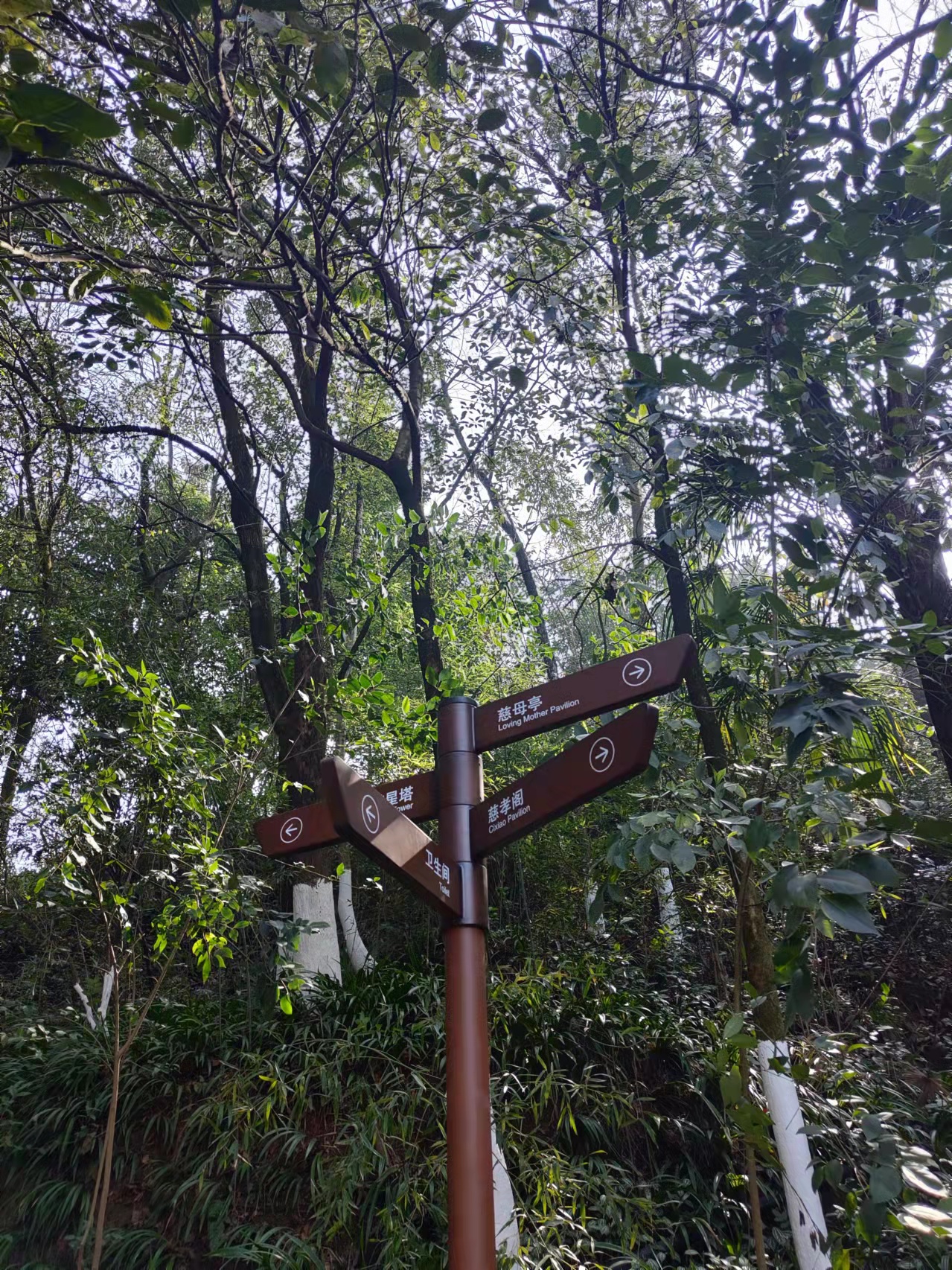 重庆地铁轻轨能到达的赏花地,轻轨直达公园