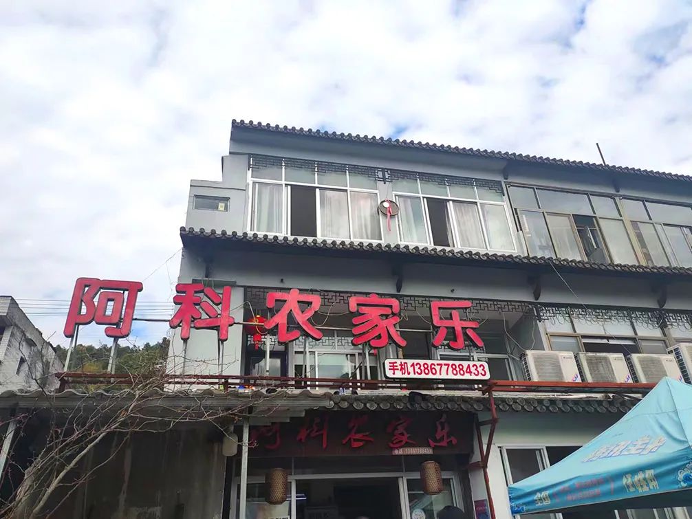 在温过大年！这几条“百县千碗”美食体验线路真的好吃又好玩