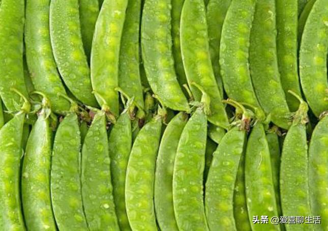 俗语：五月吃豆胜吃肉，5月该吃什么豆？这3种正大量上市，别错过