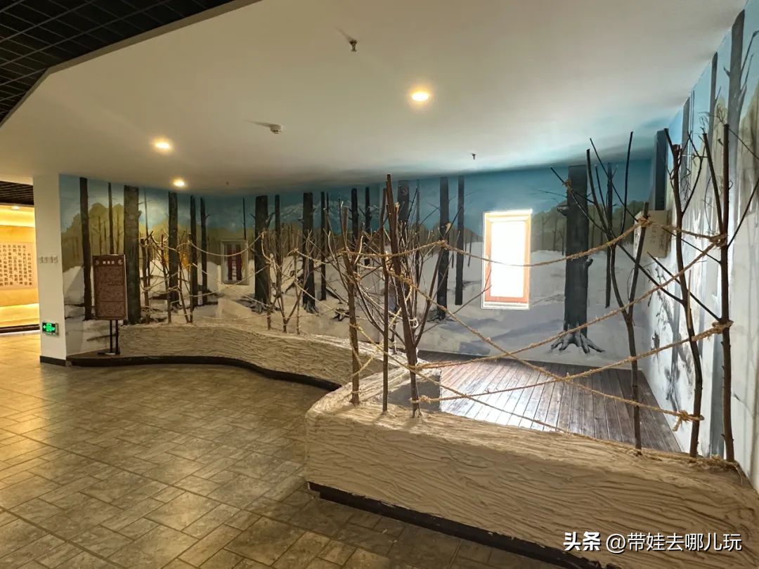 长白山二道白河旅游攻略7月游,自驾二道白河长白山旅游攻略