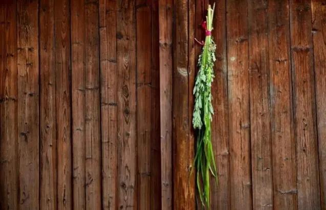 艾草的起源历史典故,艾草的前世今生你知道吗