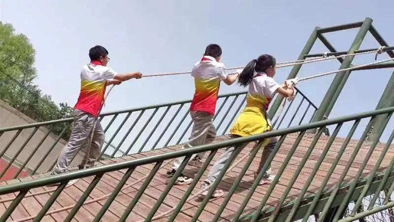 小学生寒假综合实践活动简报,北郊中心小学五年级综合实践活动