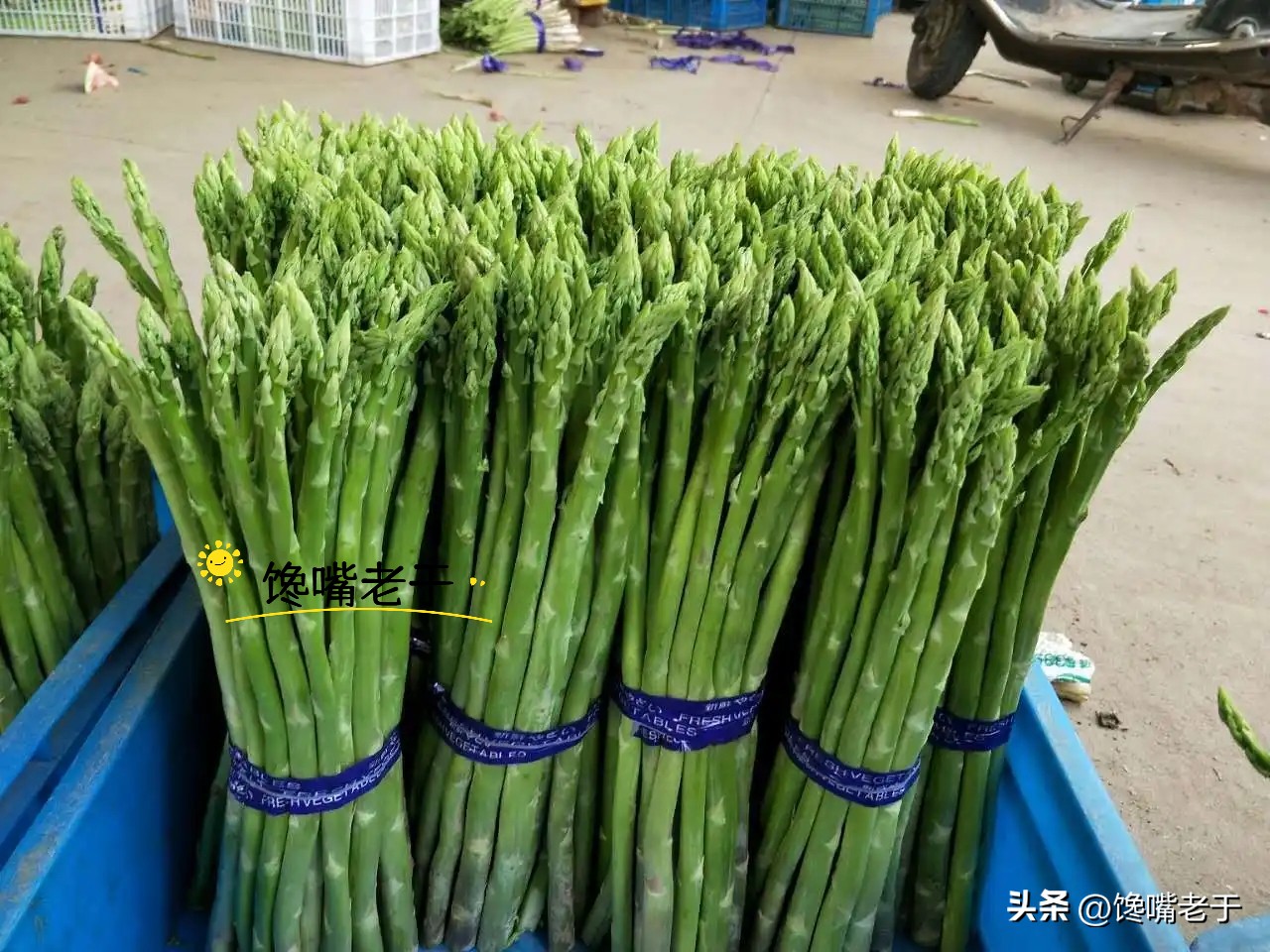 芦笋粗的还是细的好,购买芦笋绿色与白色哪种好