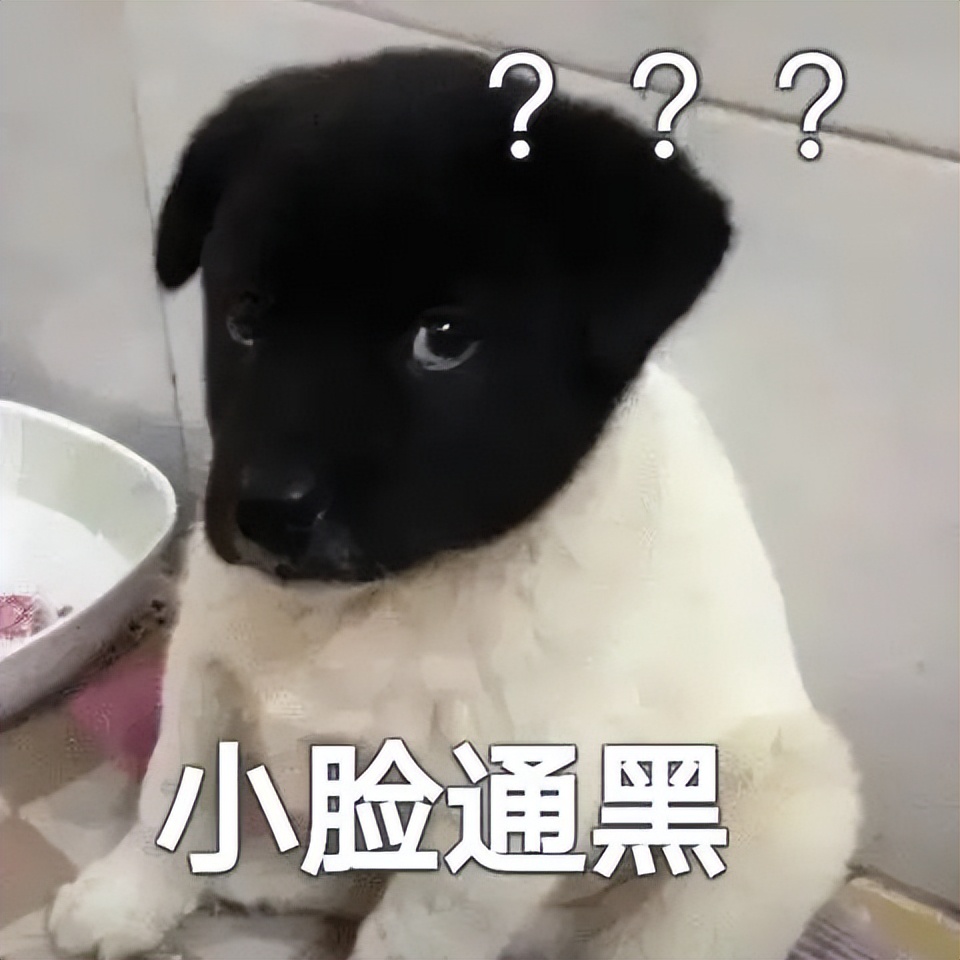 离谱！山东大哥专卖死人车：车有多凶，全看小*狗黑**上车坐哪？？