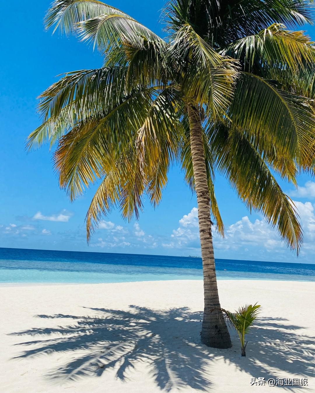 马尔代夫艾美酒店沙屋,马尔代夫艾美水疗度假酒店