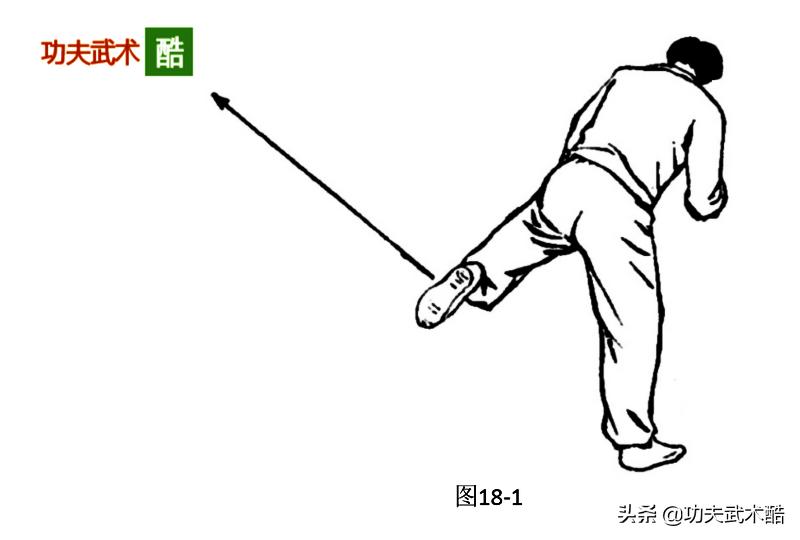 散手二路拳视频教程,散手拳腿连击方法图解