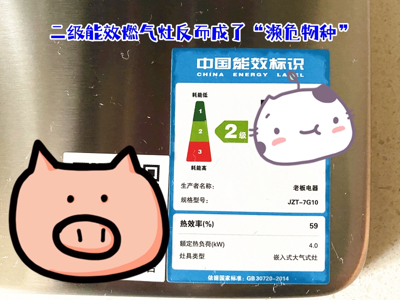 闺蜜来我家串门说说,闺蜜来我家烧菜成品