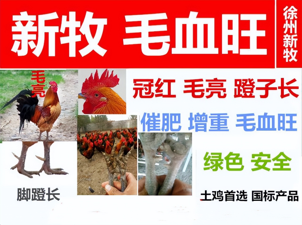 鸡冠上有白色结痂是什么病,鸡冠上面有癣怎么弄