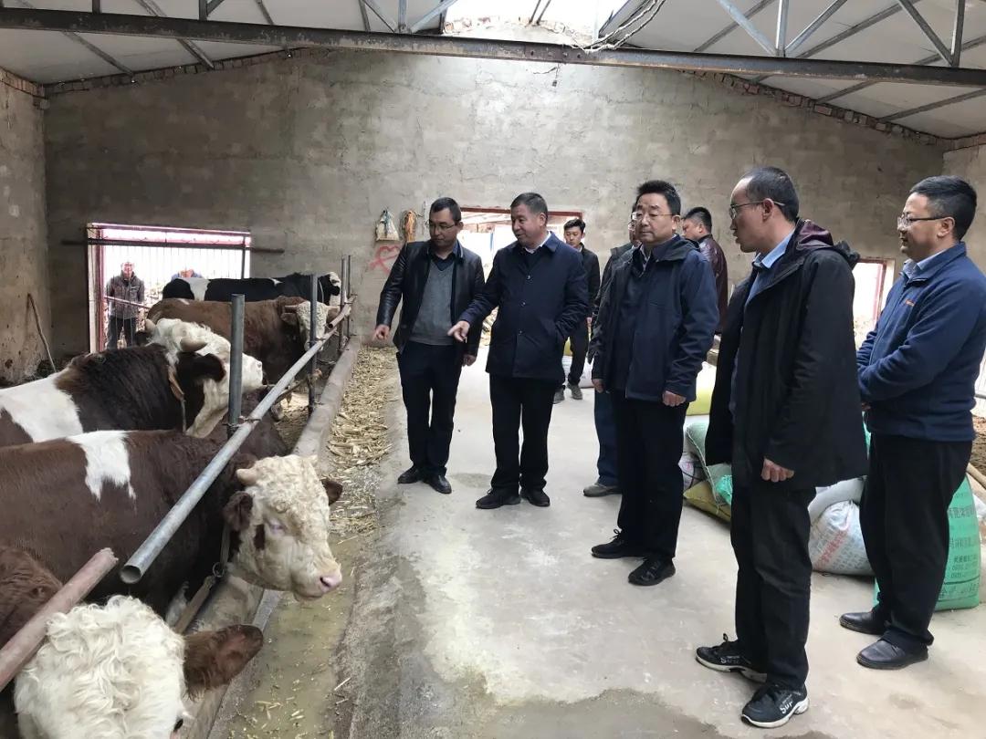 甘肃铁投建设集团有限公司,甘肃铁投集团最新消息