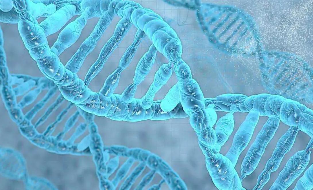 江西老汉活捉神兽四不像,江西老汉活捉神兽六不像