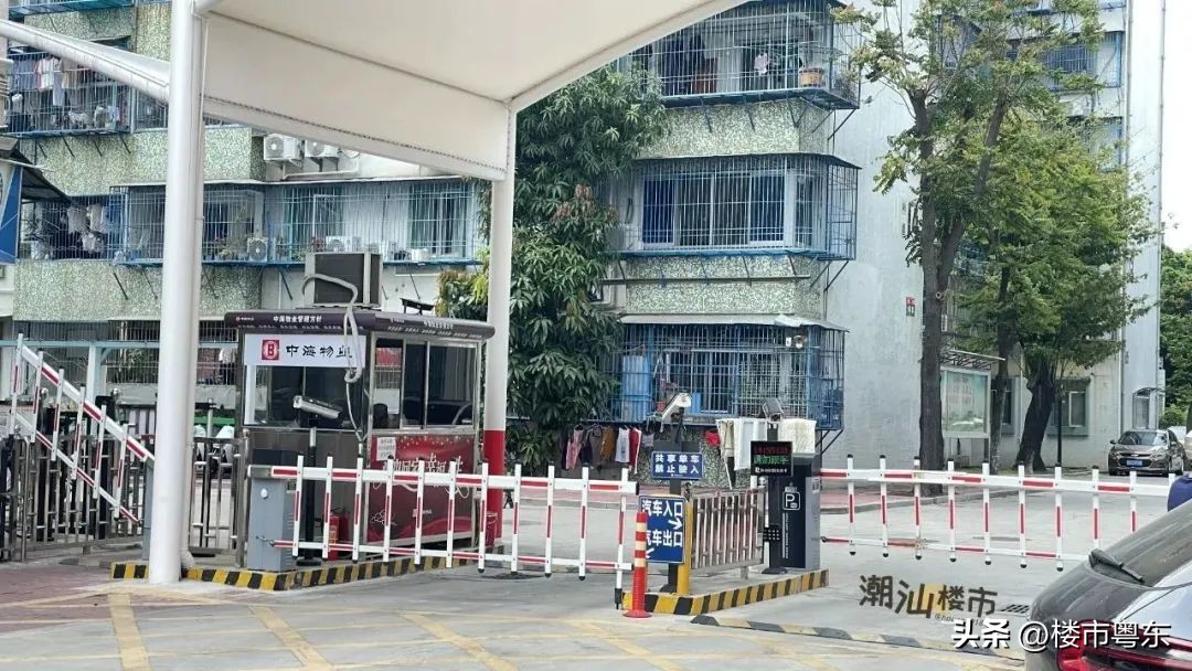 “指南里”一夜爆红！汕头桃园小区申请红花老姨出战！