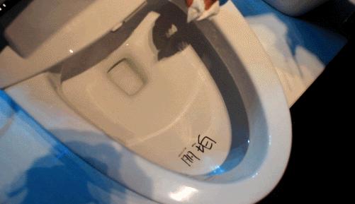 智能马桶到底值不值得购买,智能马桶值得买吗