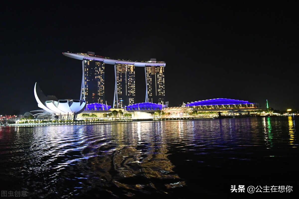 新加坡7个冷知识英文,世界上养猫最多的国家