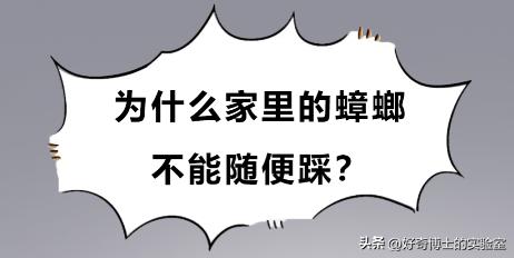 家里踩死的蟑螂，为啥一会儿就自动消失了？