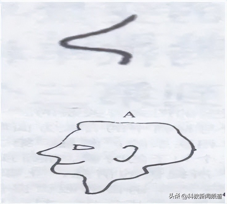 你理解中的大单元教学是怎样的,大单元教学与主题式区别