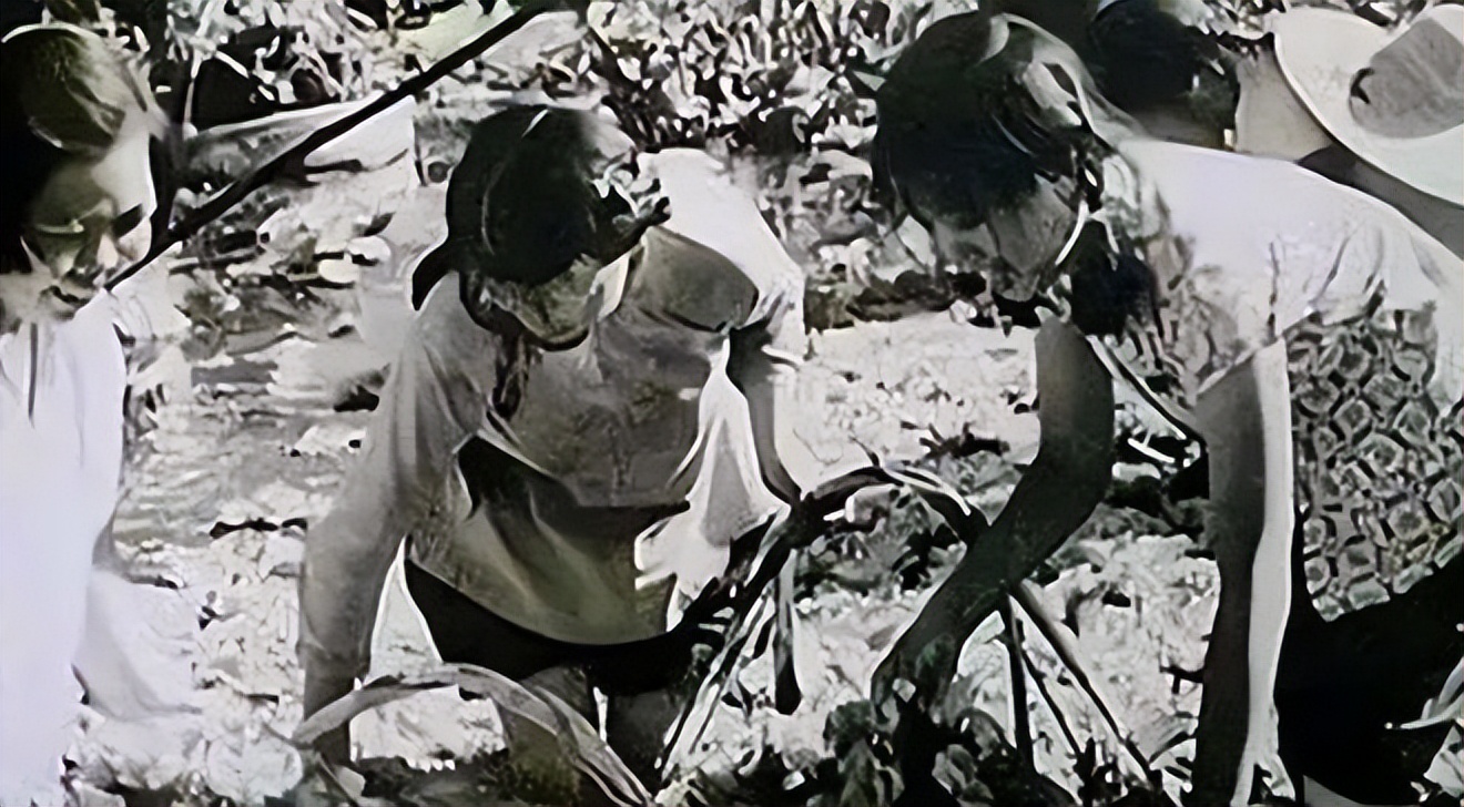 1994年山东女子挖到35克拉钻石,挖钻石真实案件