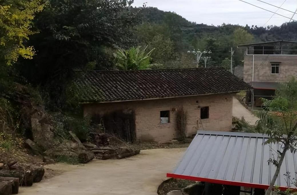 老人晨练撞小孩后续,老太太晨练被撞