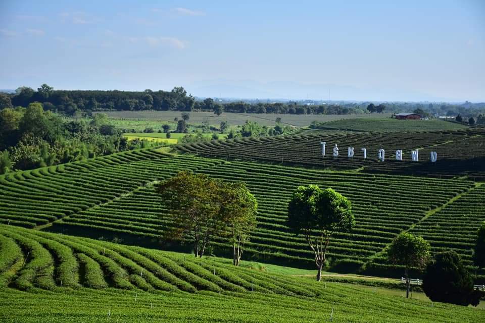 泰国旅游景点有哪些,泰国旅游景点介绍ppt