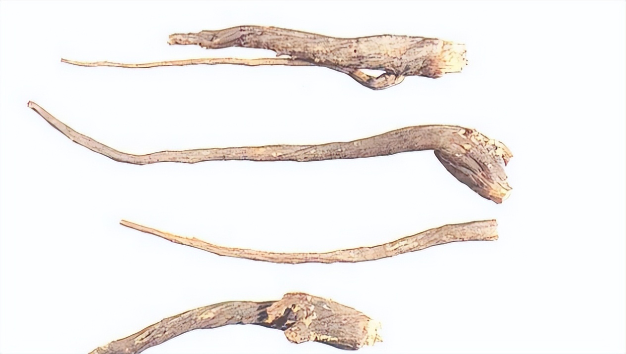 认识红参,带你认识红木