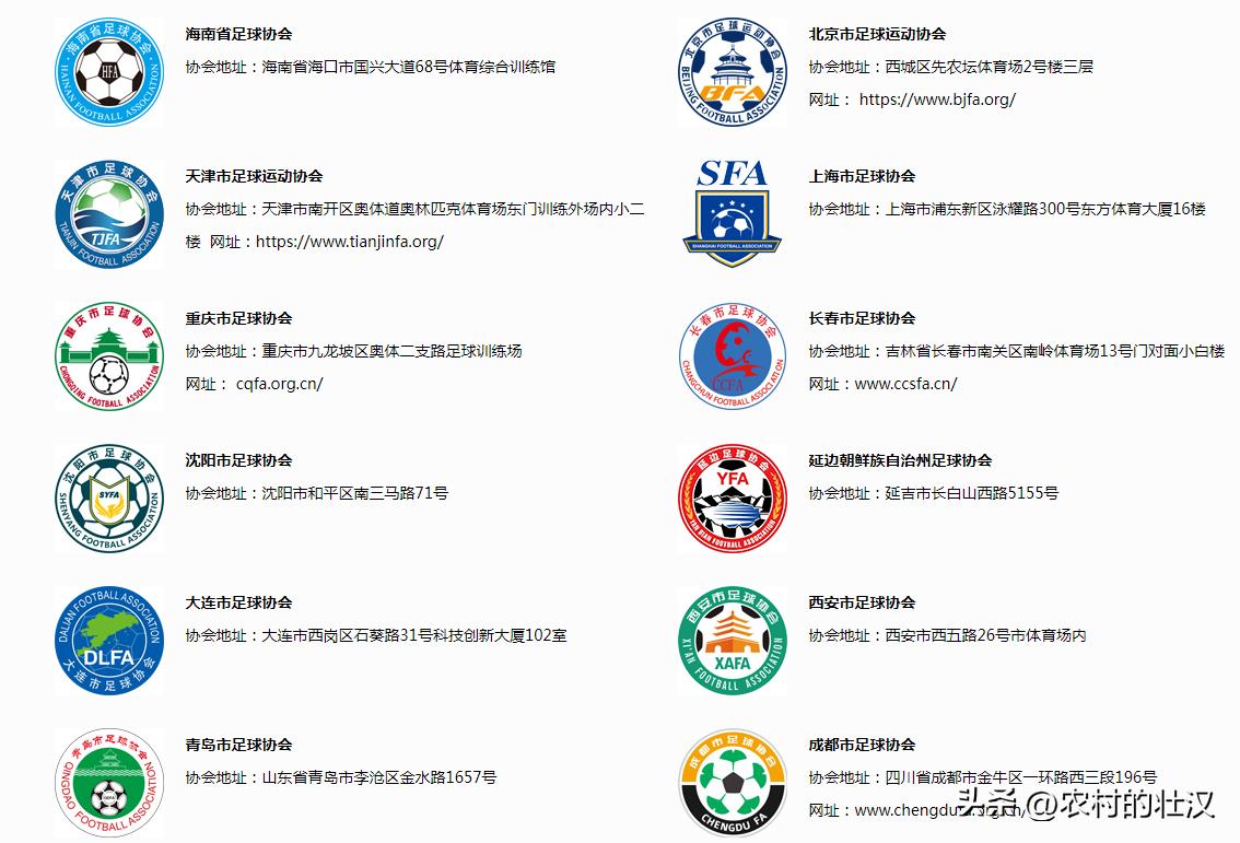 国内专业足球比赛,国内踢球怎么参加比赛