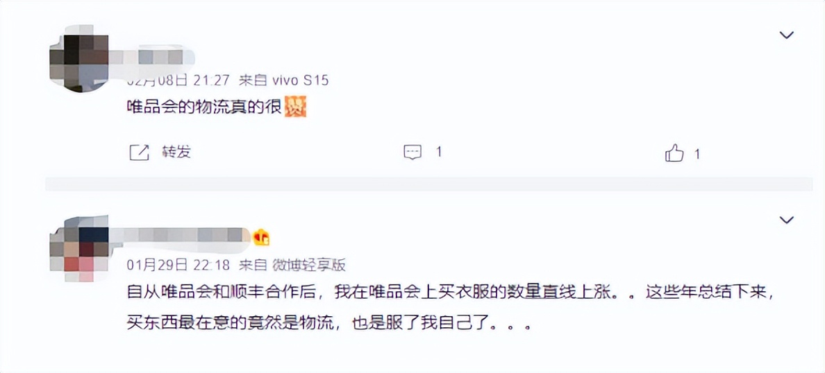 唯品会为什么是垂直电商,唯品会为什么可以做电商