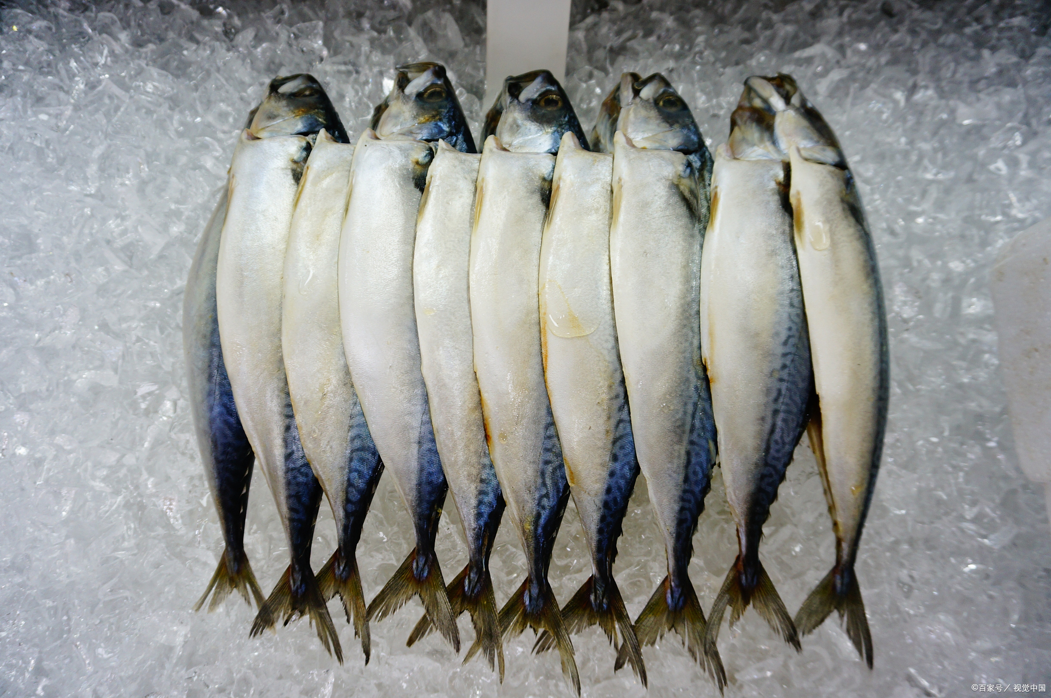 珠海特产排名前十名,广东特产排名前十名海鲜干货