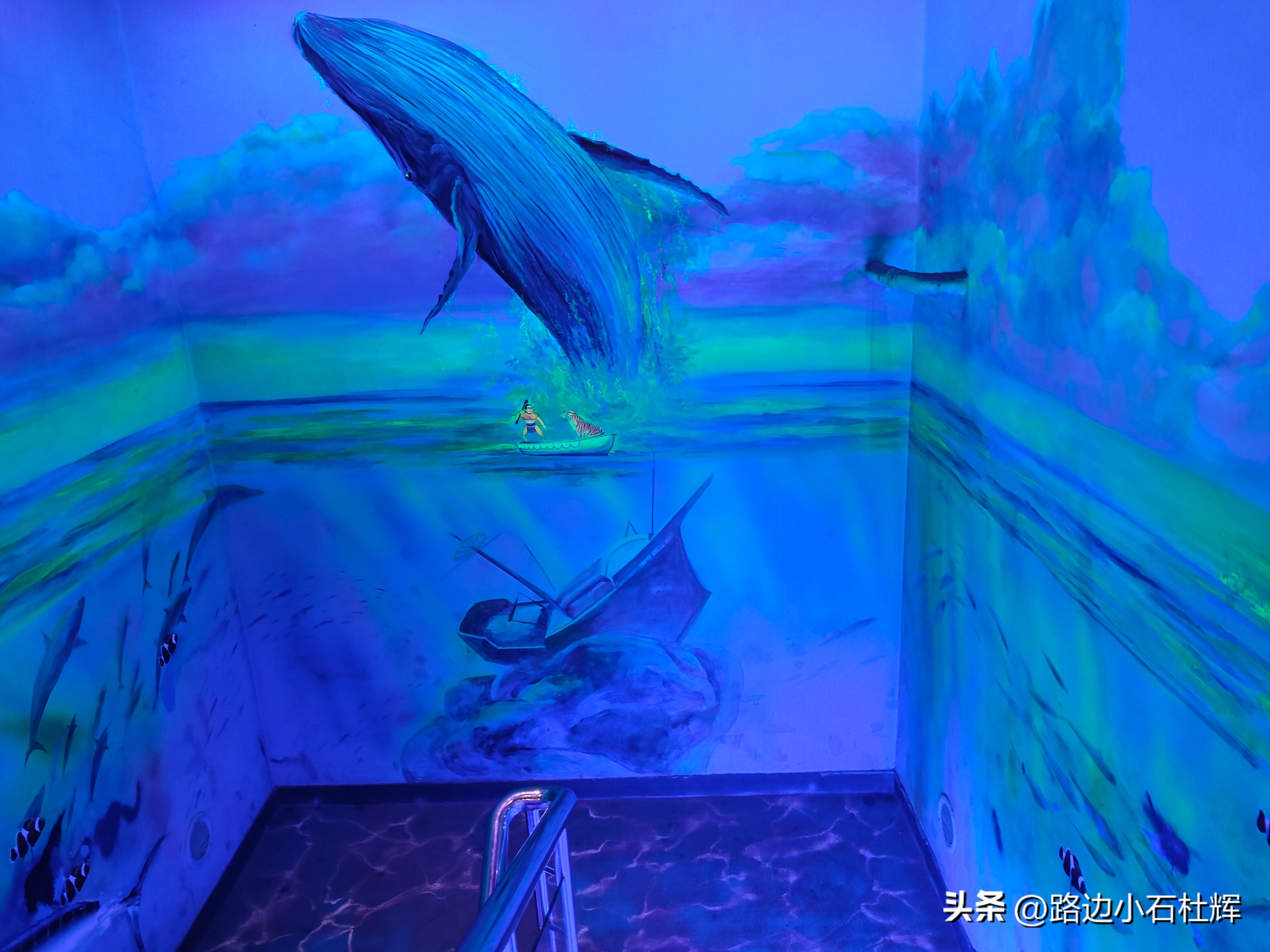 北京富国海底世界海洋水族馆,北京海洋馆和工体海洋世界