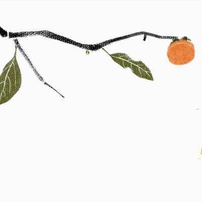 自制水果酵素的功效,自制水果酵素健康养生