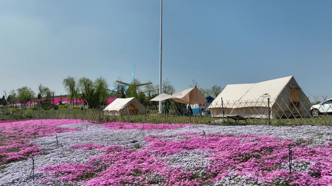 济南既能吃又能玩儿的露营地,济南创意打卡露营地