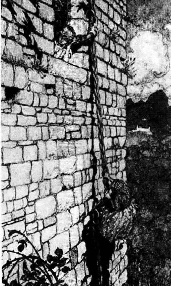 格林童话变态,变态格林童话