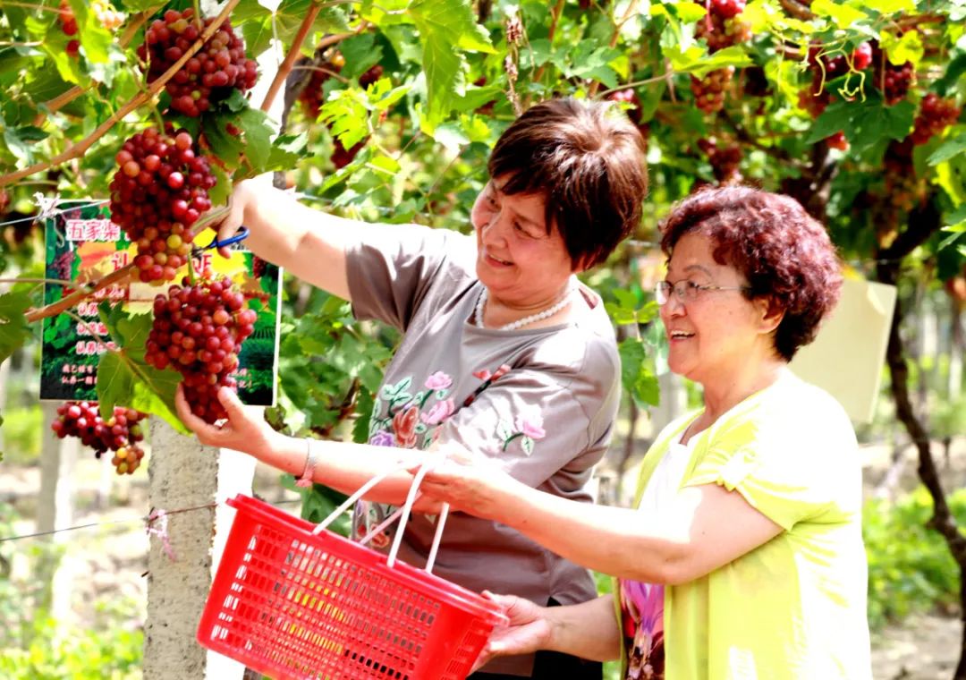 连队党建引领基层治理,乡村振兴基层党建工作专项规划