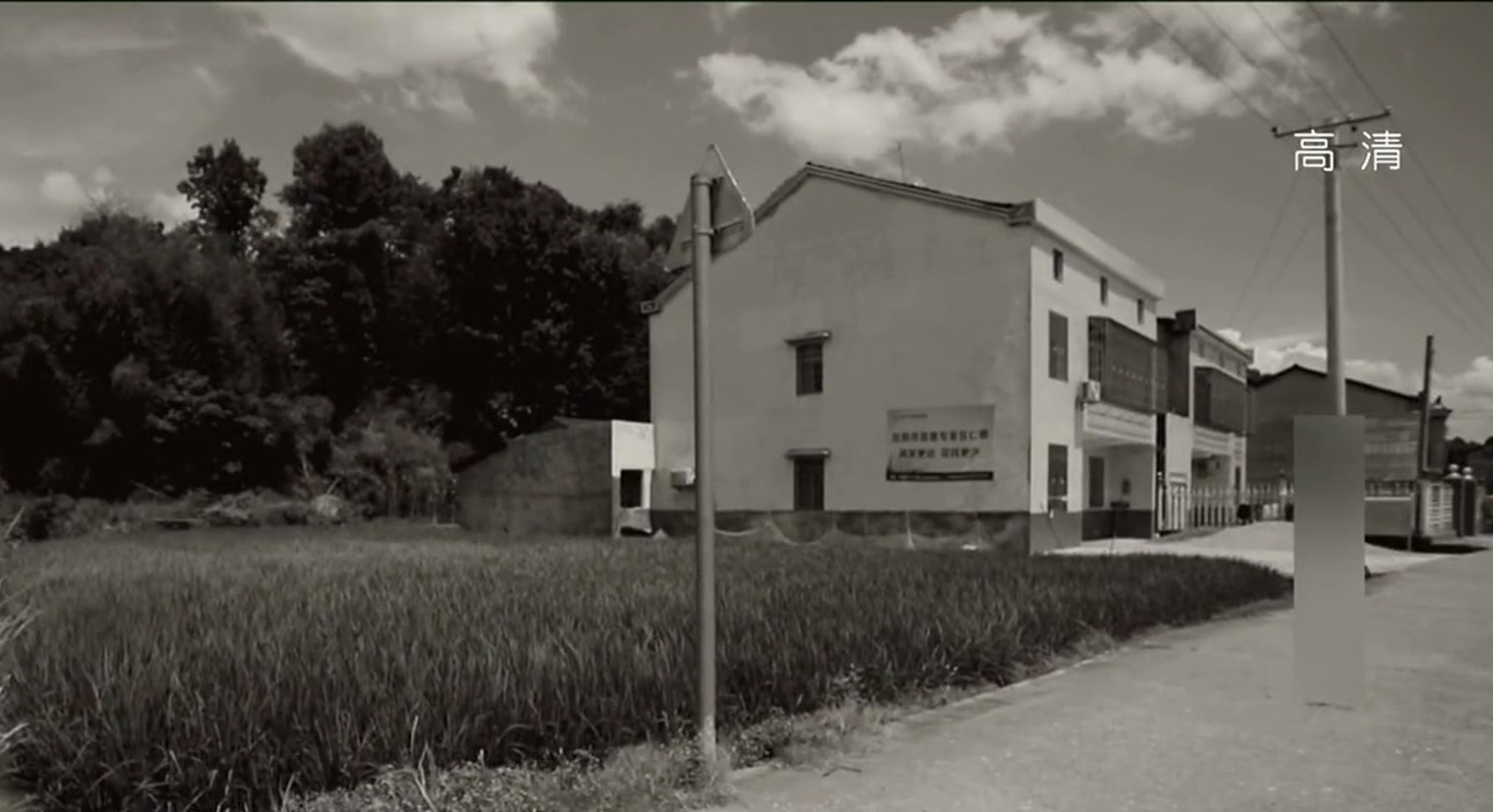 小偷偷车撞人法院判车主责任,小偷偷车发生车祸把车主告上法庭