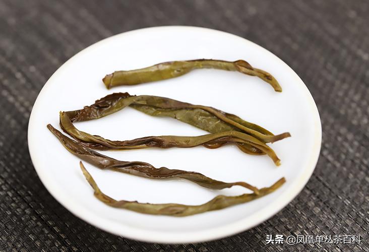 单丛乌岽稻花香,稻花香单丛