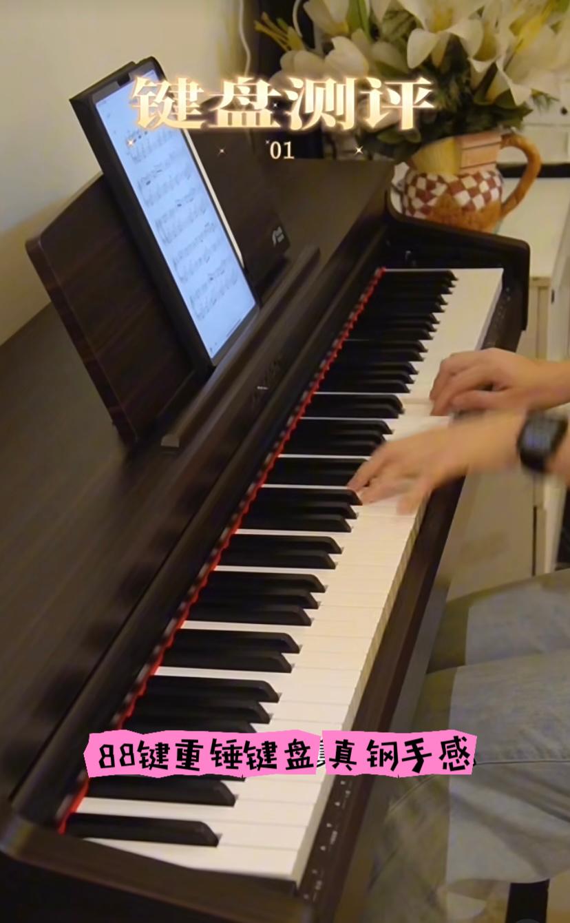 珠江艾茉森电钢琴f53测评,珠江艾茉森电钢琴f53和v05的区别
