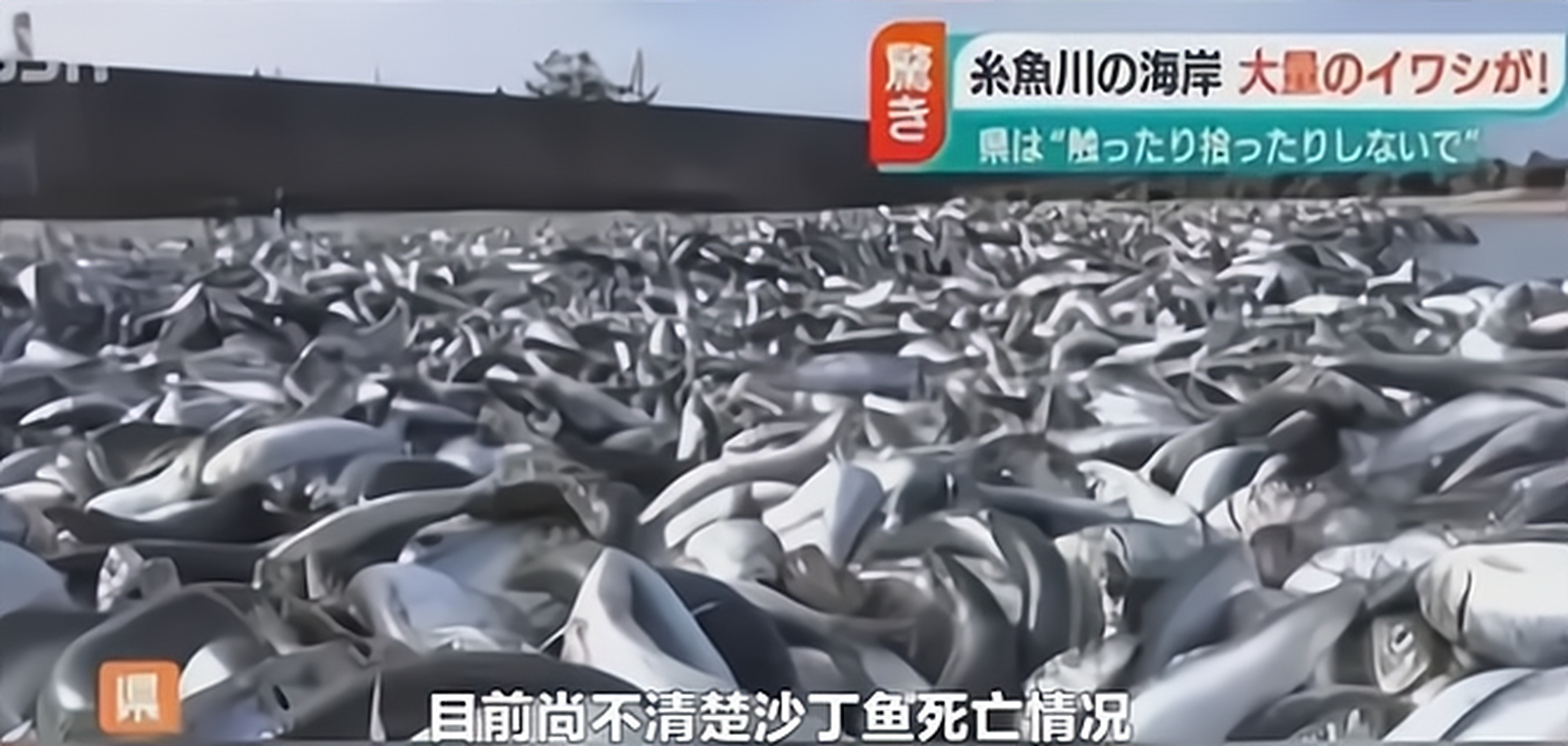 如何应对核废水污染,核污染水来了应对方案