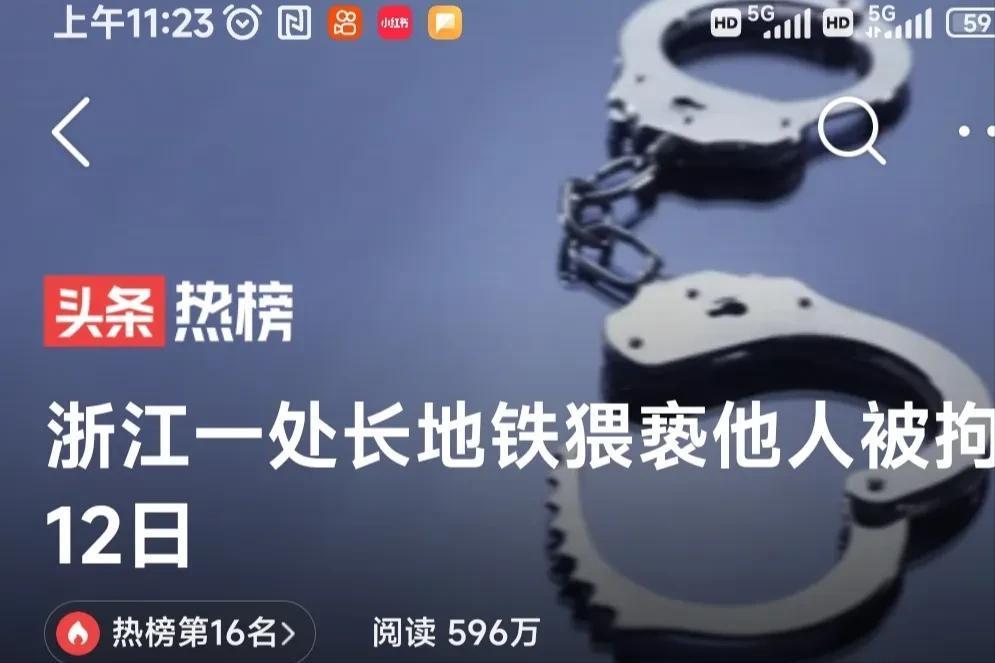 浙江一处长地铁猥亵他人,浙江一处长被曝地铁上猥亵他人