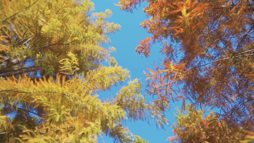 安徽人节假日去哪里玩,安徽皖南旅游最佳时间