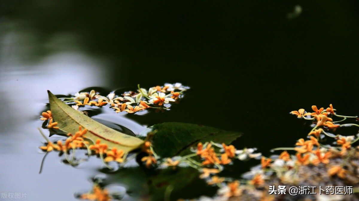 会阳穴管哪个病,会阳穴治腰疼吗