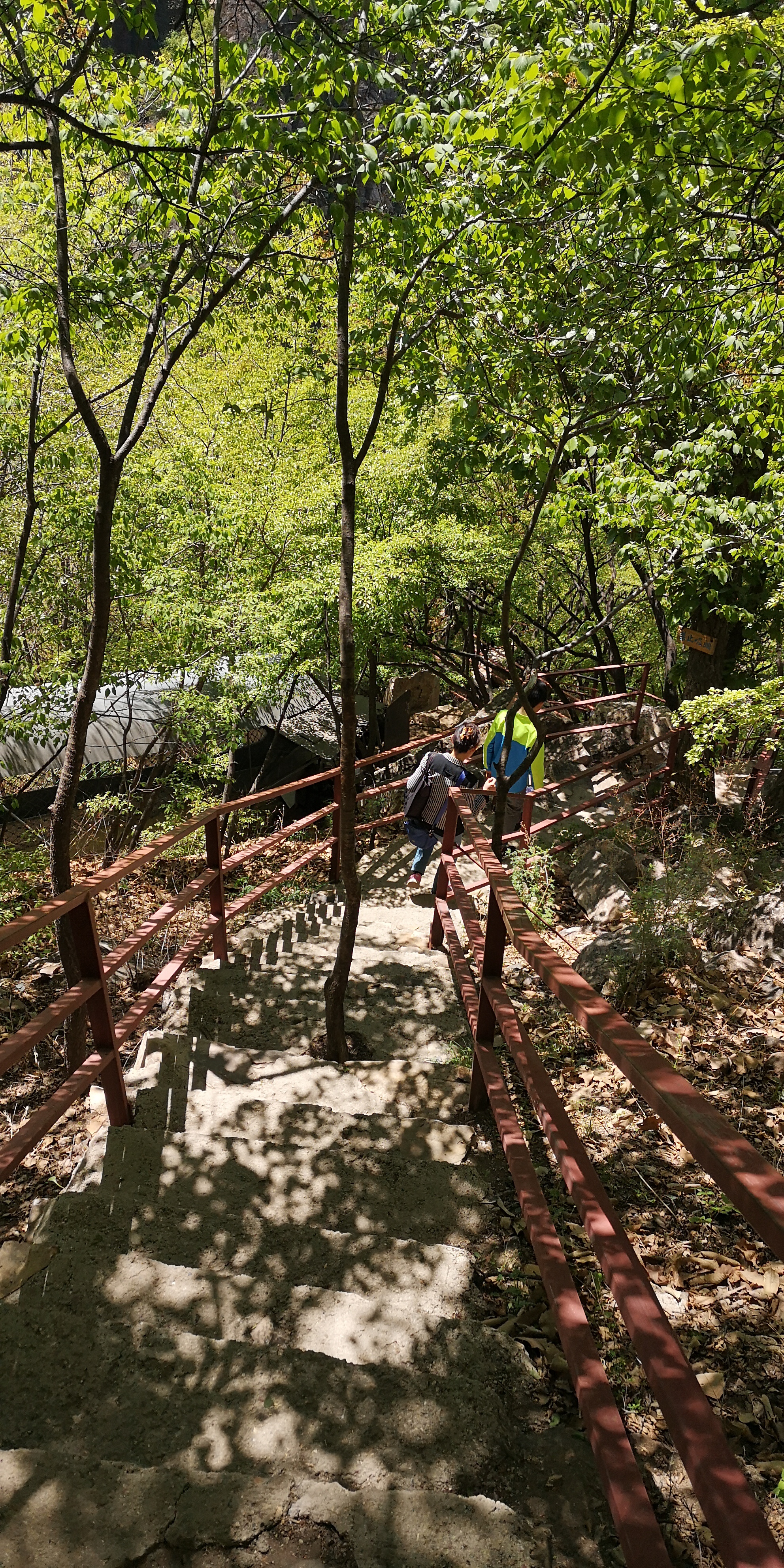 天津梨木台景区值得夏天去的地方,天津蓟县梨木台风景区路线
