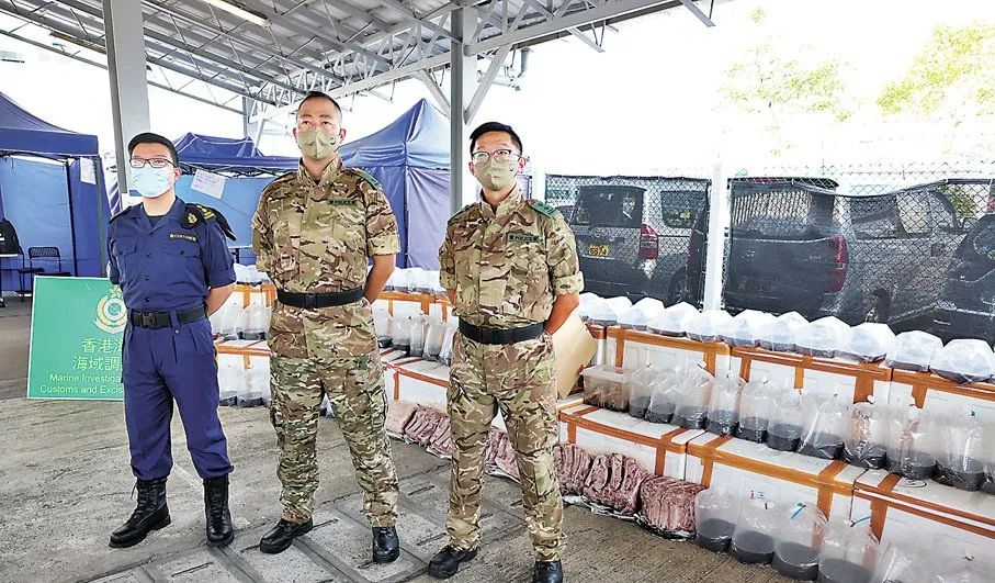 广州疫情封控刑事案件,疫情封控期间抓了多少犯罪嫌疑人