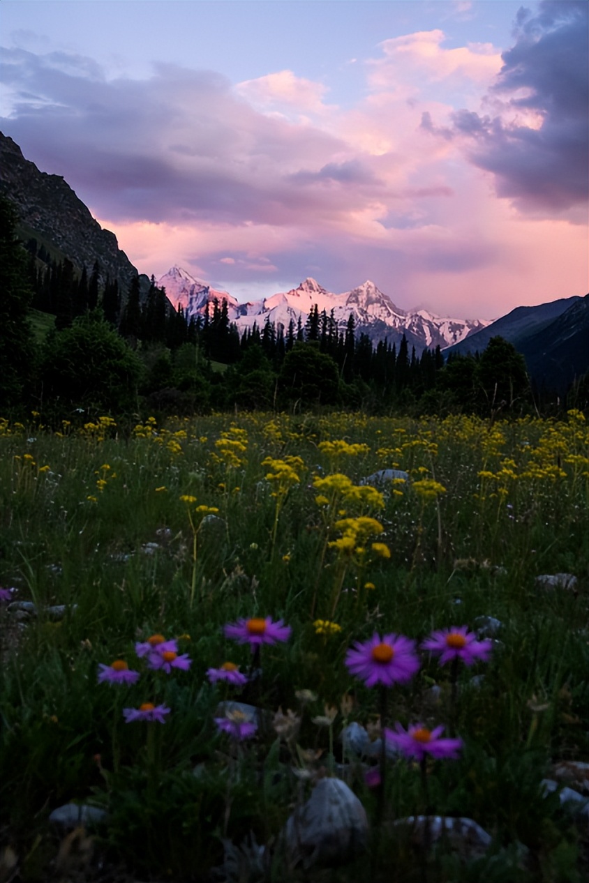 佳能r6mark2摄影三要素教程,eosr6markii景深合成