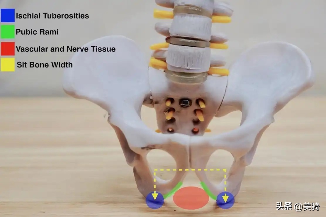 性价比比较高的公路车坐垫推荐,怎么挑选一款公路车坐垫