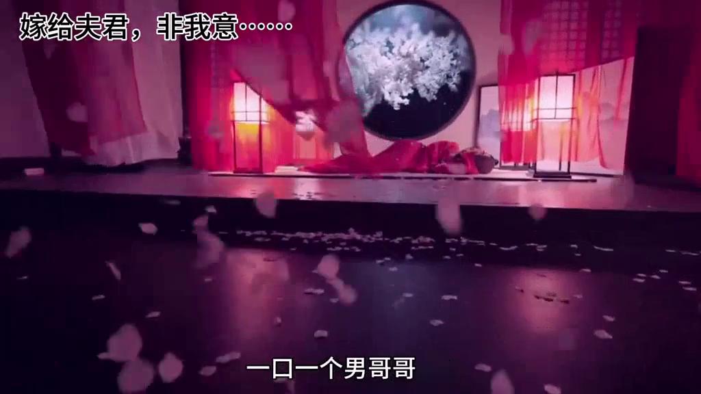 我嫁给慕南辞的半年后,我不伤心吗?